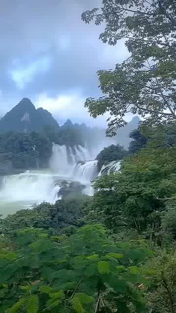 逃离橙园